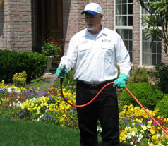 Orlando Pest Control - Orlando Lawn Care